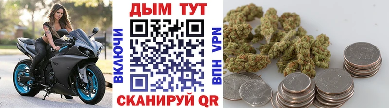 Бошки марихуана марихуана  закладки  Козьмодемьянск 
